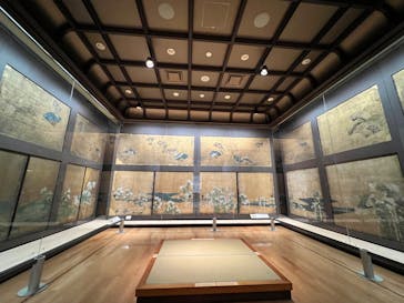 元離宮二条城に投稿された画像（2025/10/15）