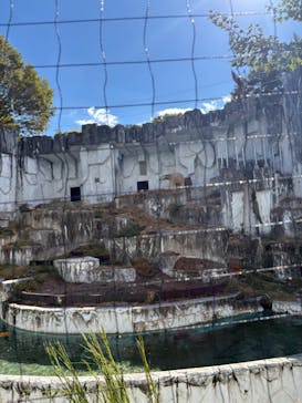 名古屋市東山動植物園に投稿された画像（2025/10/15）