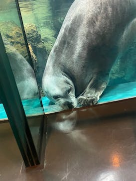 大分マリーンパレス水族館 「うみたまご」に投稿された画像（2025/10/15）