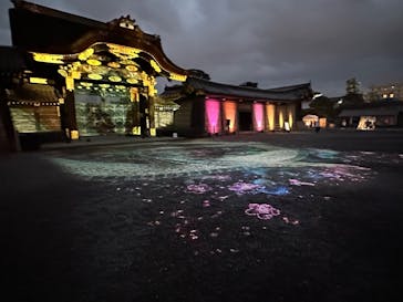 NAKED meets 二条城 2025 観月に投稿された画像（2025/3/27）