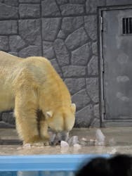 静岡市立日本平動物園に投稿された画像（2025/10/15）