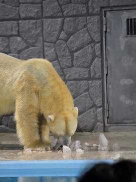 静岡市立日本平動物園に投稿された画像（2025/10/15）