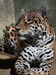 静岡市立日本平動物園に投稿された画像（2025/10/15）