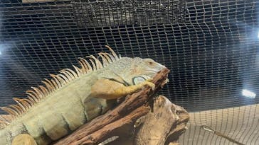 カワスイ 川崎⽔族館に投稿された画像（2025/10/15）