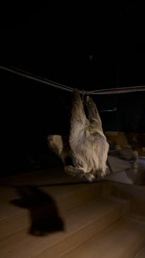 カワスイ 川崎⽔族館に投稿された画像（2025/10/15）