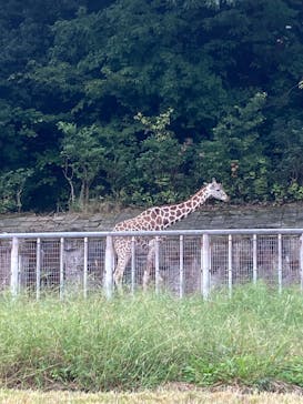 名古屋市東山動植物園に投稿された画像（2025/10/15）