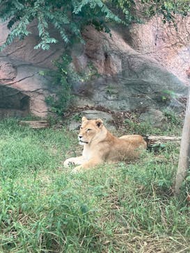 名古屋市東山動植物園に投稿された画像（2025/10/15）