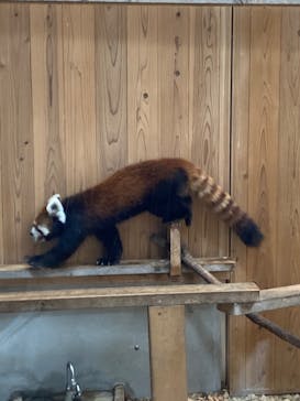 名古屋市東山動植物園に投稿された画像（2025/10/15）