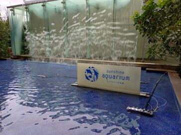 サンシャイン水族館に投稿された画像（2025/10/15）