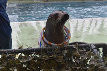 あわしまマリンパークに投稿された画像（2025/10/15）