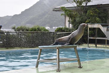 あわしまマリンパークに投稿された画像（2025/10/15）