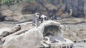 サンシャイン水族館に投稿された画像（2025/10/15）