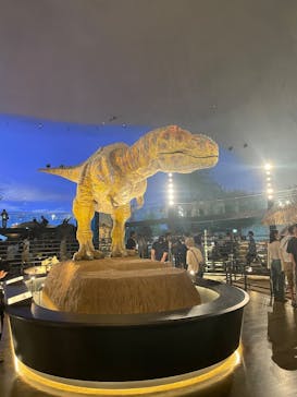 福井県立恐竜博物館に投稿された画像（2025/10/16）