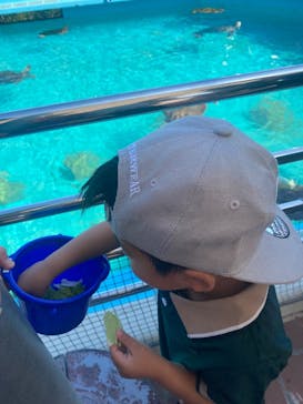 沖縄美ら海水族館に投稿された画像（2025/10/16）