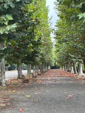 新宿御苑に投稿された画像（2025/10/16）