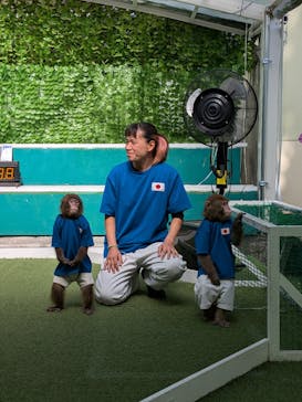 おさるランド＆アニタウン　日光さる軍団劇場に投稿された画像（2025/10/16）