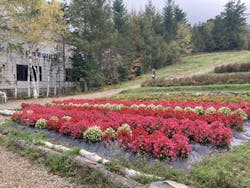 おんたけロープウェイに投稿された画像（2025/10/16）