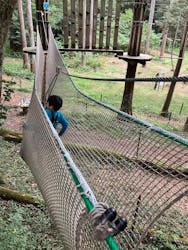 フォレストアドベンチャー・千葉に投稿された画像（2025/10/16）