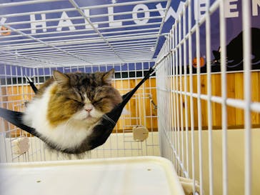 那須どうぶつ王国に投稿された画像（2025/10/16）