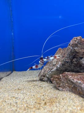 伊豆・三津シーパラダイスに投稿された画像（2025/10/16）