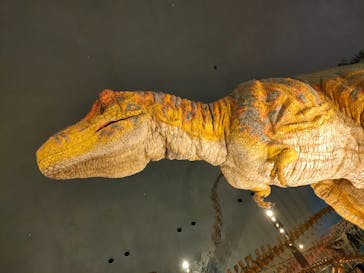 福井県立恐竜博物館に投稿された画像（2025/10/16）