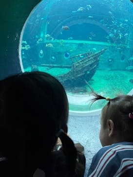 箱根園水族館に投稿された画像（2025/10/16）
