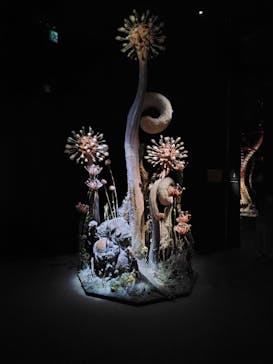 金曜ロードショーとジブリ展（静岡展）に投稿された画像（2025/10/16）