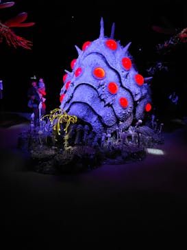 金曜ロードショーとジブリ展（静岡展）に投稿された画像（2025/10/16）