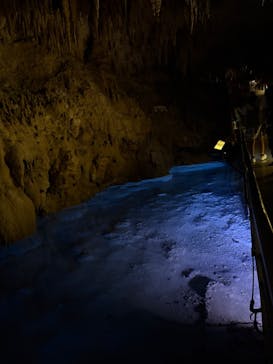 おきなわワールドに投稿された画像（2025/10/16）