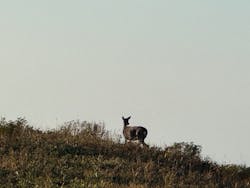 知床ネイチャーガイド星の時間に投稿された画像（2025/10/16）