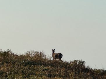 知床ネイチャーガイド星の時間に投稿された画像（2025/10/16）