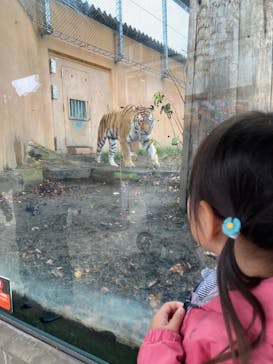 那須どうぶつ王国に投稿された画像（2025/10/16）