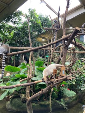 那須どうぶつ王国に投稿された画像（2025/10/16）