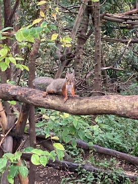 那須どうぶつ王国に投稿された画像（2025/10/16）