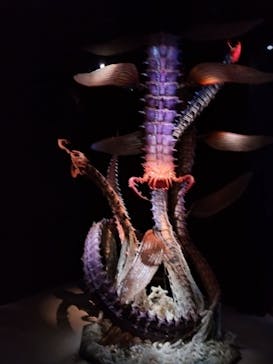 金曜ロードショーとジブリ展（静岡展）に投稿された画像（2025/10/16）