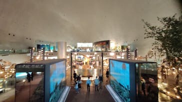 福井県立恐竜博物館に投稿された画像（2025/10/16）