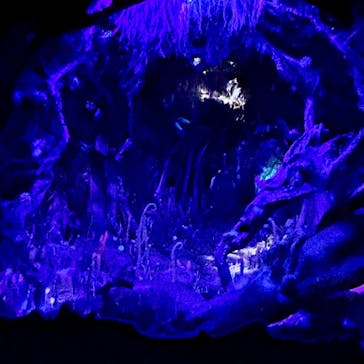 金曜ロードショーとジブリ展（静岡展）に投稿された画像（2025/10/16）