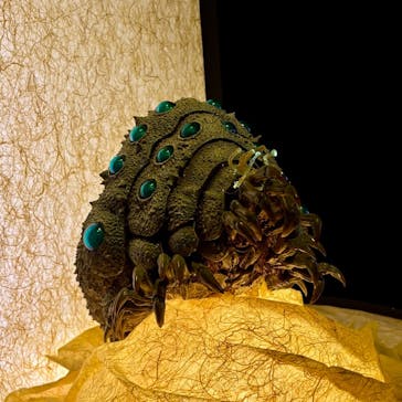 金曜ロードショーとジブリ展（静岡展）に投稿された画像（2025/10/16）