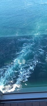 徳島県立 渦の道に投稿された画像（2025/10/16）