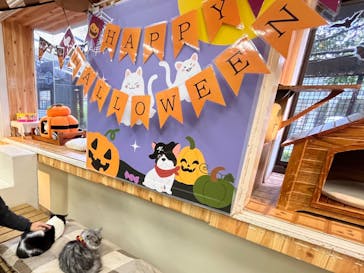 那須どうぶつ王国に投稿された画像（2025/10/16）