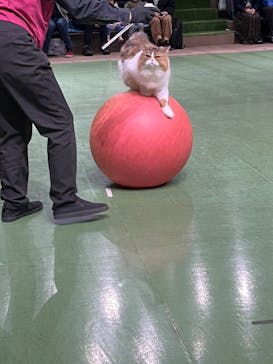 那須どうぶつ王国に投稿された画像（2025/10/16）