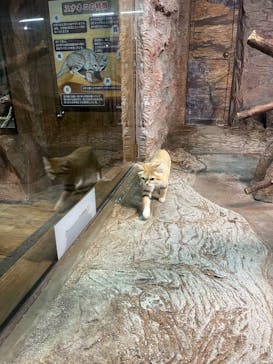 那須どうぶつ王国に投稿された画像（2025/10/16）