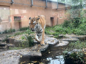 那須どうぶつ王国に投稿された画像（2025/10/16）