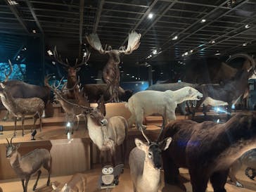 国立科学博物館に投稿された画像（2025/10/16）