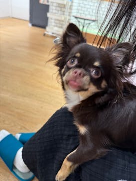 いぬカフェRio 新宿店に投稿された画像（2025/10/16）