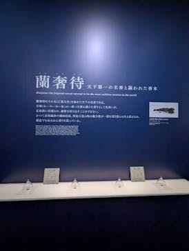 正倉院 THE SHOW ―感じる。いま、ここにある奇跡―　@上野の森美術館に投稿された画像（2025/10/16）