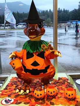 福井県立恐竜博物館に投稿された画像（2025/10/16）