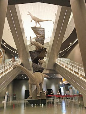 福井県立恐竜博物館に投稿された画像（2025/10/16）