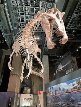 福井県立恐竜博物館に投稿された画像（2025/10/16）