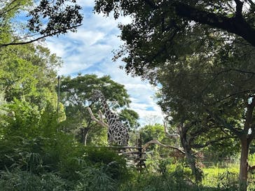 天王寺動物園に投稿された画像（2025/10/16）